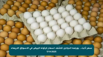 سعر ثابت.. بورصة الدواجن تكشف أسعار كرتونة البيض في الأسواق الأربعاء 17-9-2025